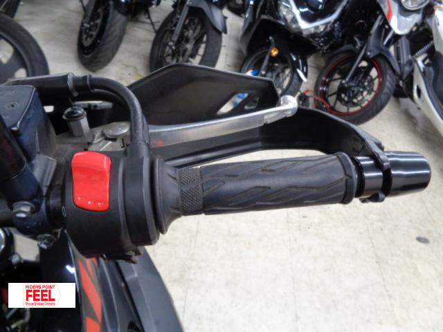 スズキ Vストローム250