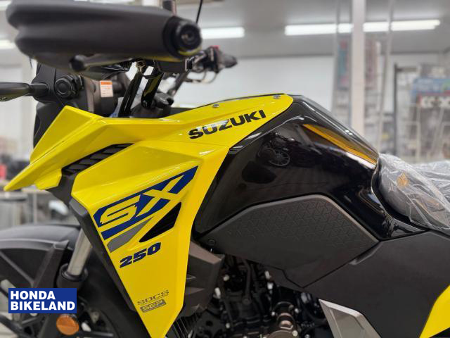 スズキ Vストローム250SX