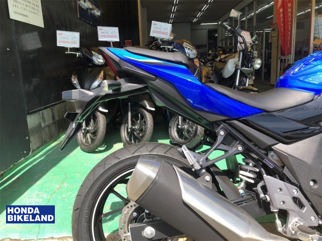 スズキ GSX250R