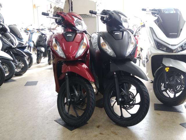 ホンダ　スーパーカブ110 Lite【新規準原付】