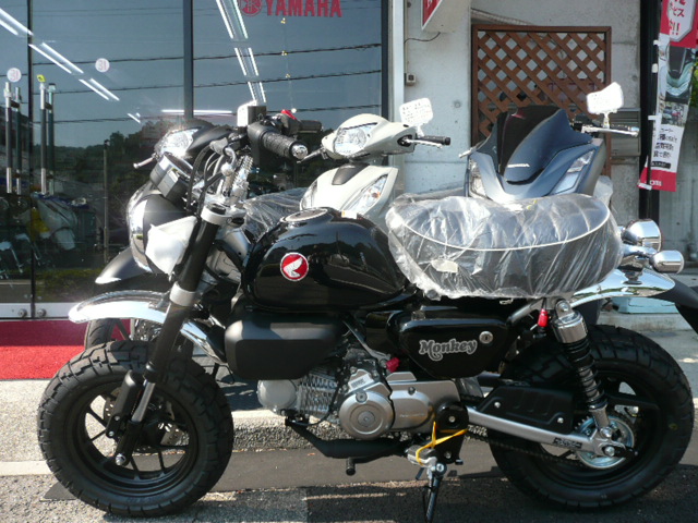  モンキー125　現行最新モデル　国内正規品