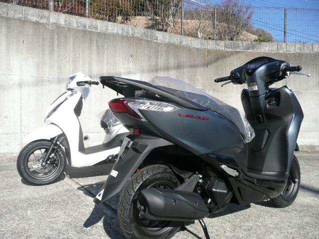 ホンダ リード125 国内正規品 2025年最新モデル ツートンカラー