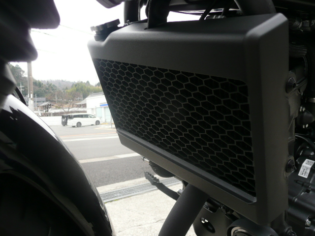  レブル250　Sエディション　E-Clutch 　新車　新型モデル