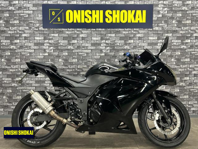 カワサキ　Ninja 250R