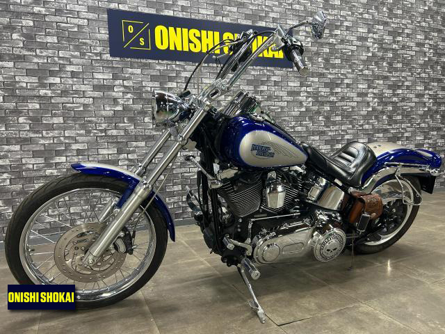 ハーレーダビッドソン FXSTC ソフテイルカスタム ホットランマフラー