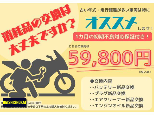 ハーレーダビッドソン XL1200N ナイトスター