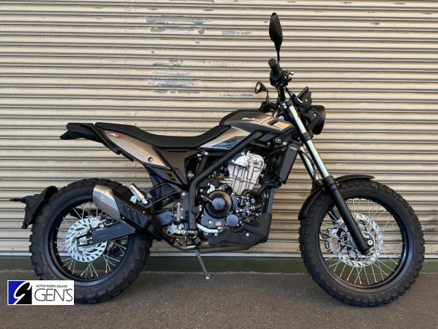 BETA　ALP-X