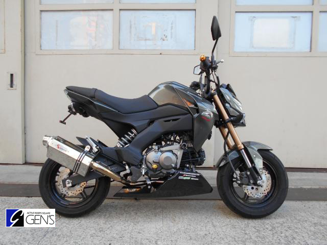 カワサキ Z125 PRO