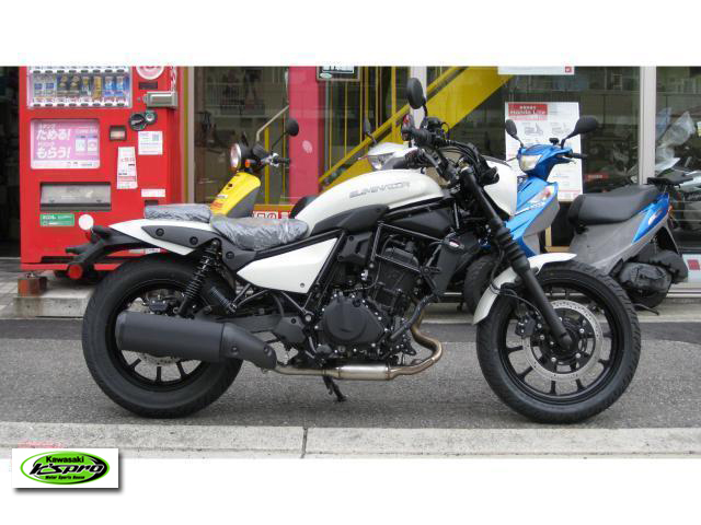 カワサキ　エリミネーター400SE