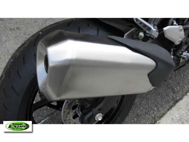 カワサキ Ninja ZX-4R SE メタリックマットグラフェンスチールグレー