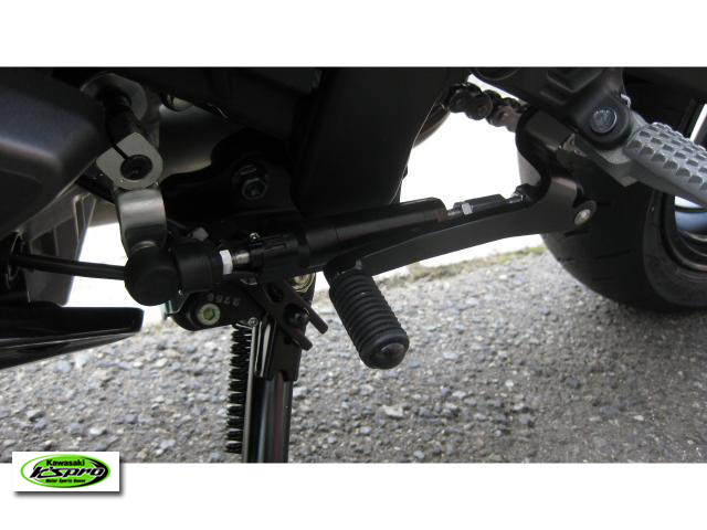 カワサキ Ninja ZX-4R SE メタリックマットグラフェンスチールグレー
