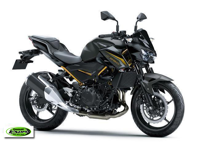 カワサキ　Z250