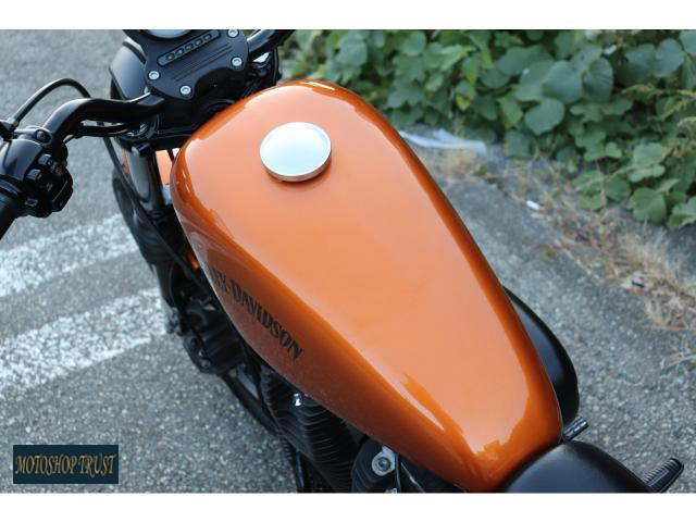 ハーレーダビッドソン XL883N -トラスト
