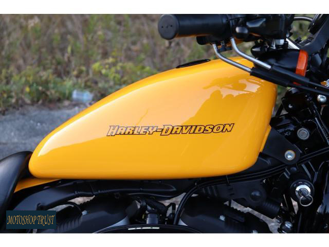 ハーレーダビッドソン XL883N