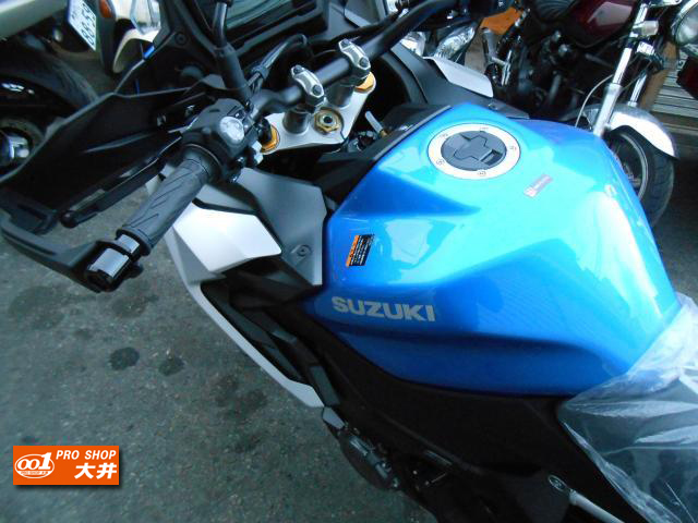 スズキ GSX-S1000GX