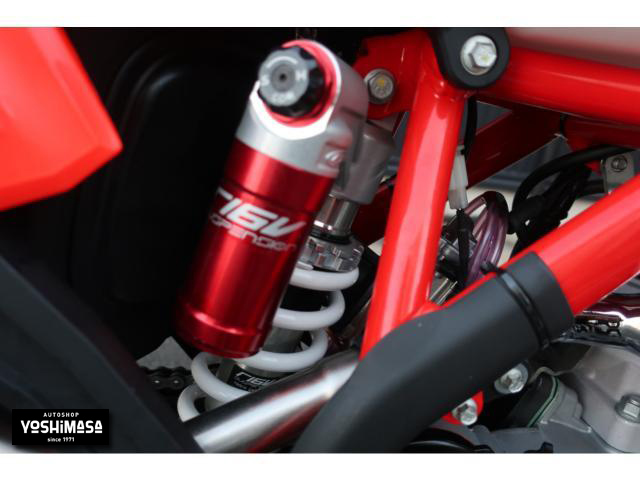 ベータ X-TRAINER250